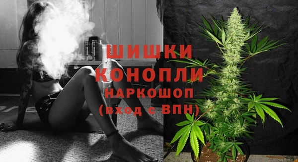 бошки Арсеньев