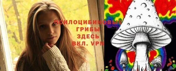 бошки Арсеньев