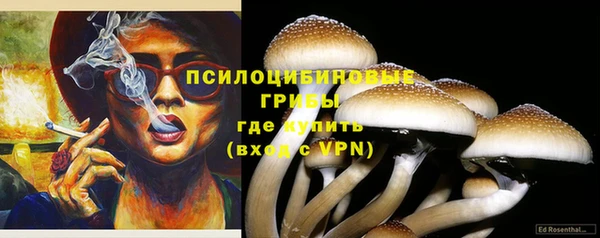 бошки Арсеньев