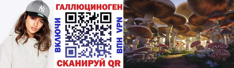 Купить закладки  Томмот  Псилоцибиновые грибы мухоморы 